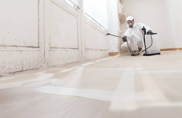 24/7 Emergency Basement Mold Remediation experts in Magnolia, NC